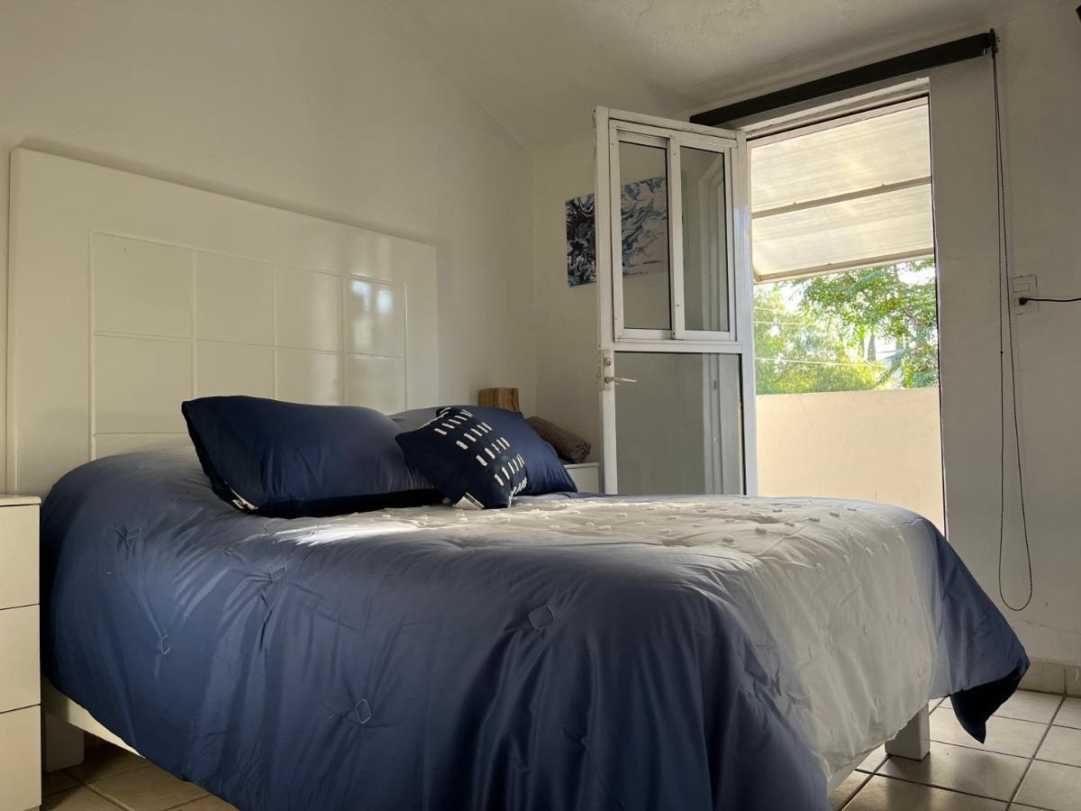 Appartement Casa Violeta à Oaxaca Extérieur photo